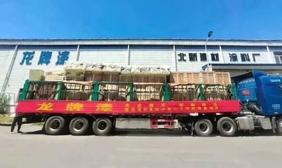 穩增長 創價值 | 我們打造新能源綠色工廠、新材料服務多國民生文教項目…